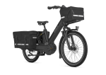 Gazelle Cabby C380 - 55 cm/24 / 26 Zoll