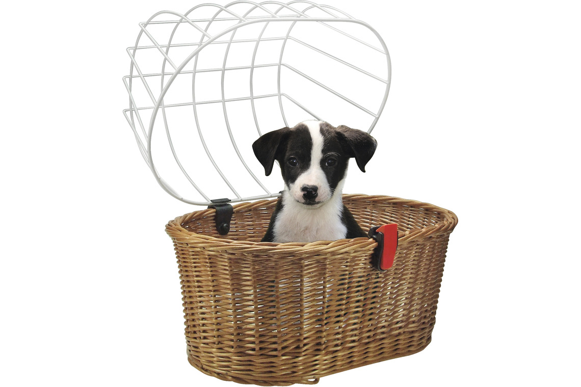 Gepäcktransport KLICKfix Doggy Baskit fix Festmontage