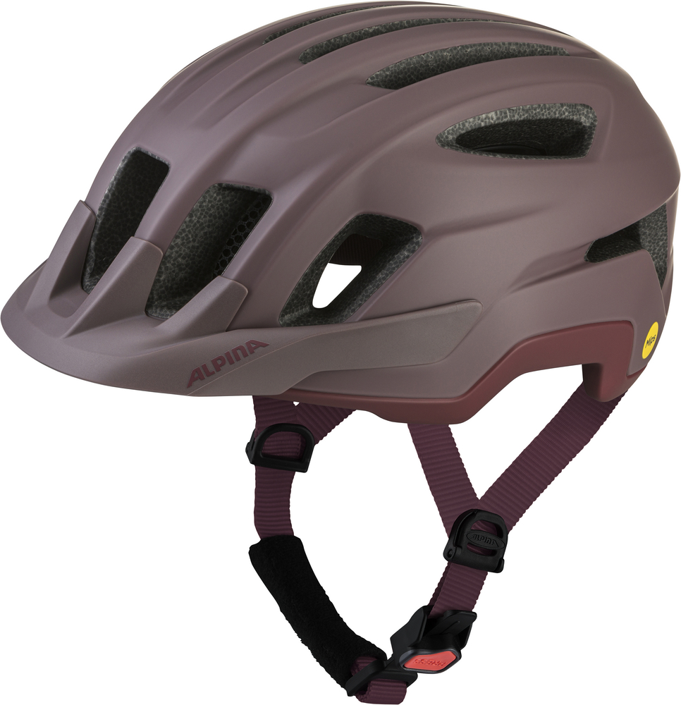 Alpina PARANUS MIPS raisin matt | 52-56